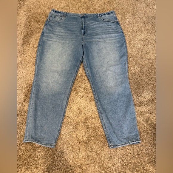 American Eagle Outfitters plus size 22 long jeans curvy mom - Picture 1 of 5